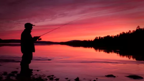Android App of the Week - NZ Fishing Rules