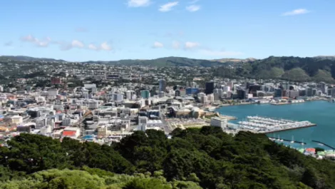 Industry stalwart joins Plan-b in Wellington