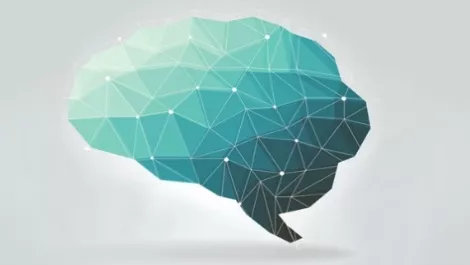 Iwi extends education strategy with Computers in Homes