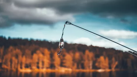 Cofense to bring phishing's meteoric rise back down to earth