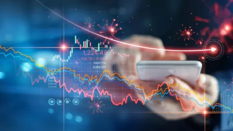 2degrees reports record annual revenue
