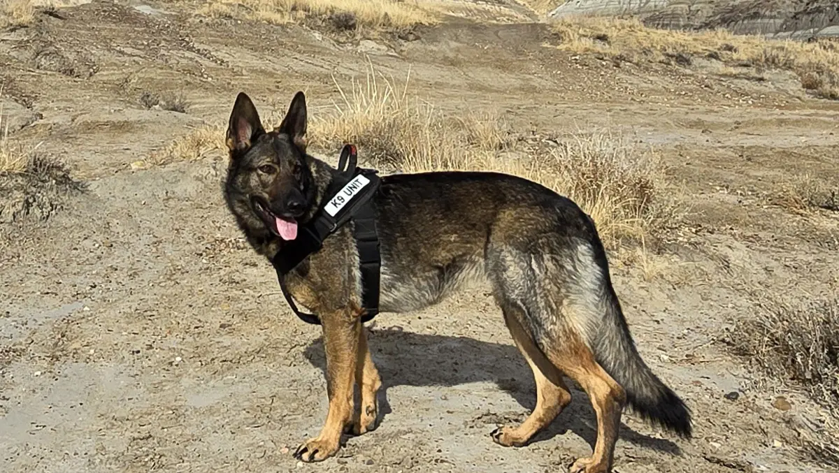 Blackline Safety brings connected gas tech to sniffer dogs